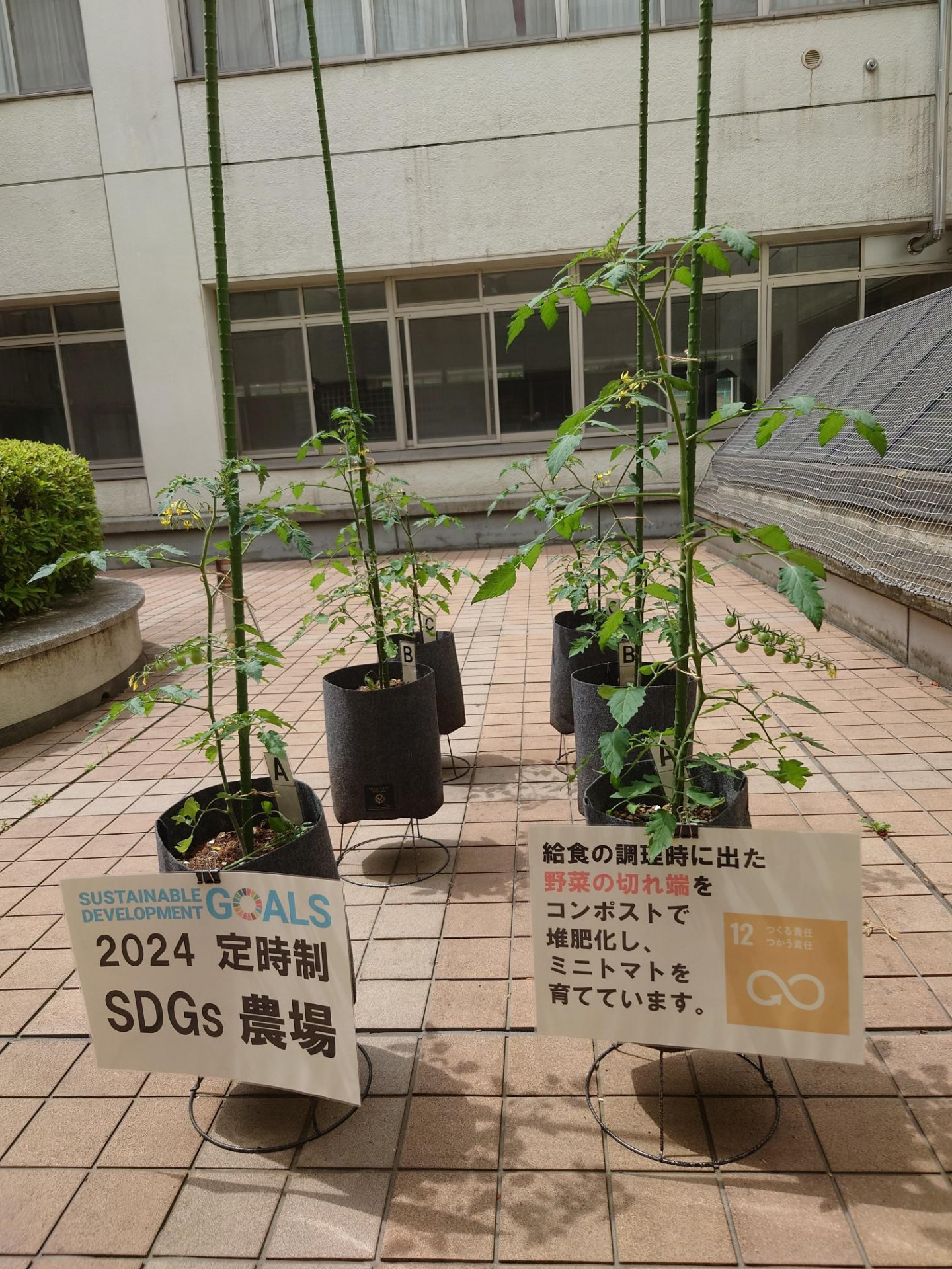 選択した写真 (2)